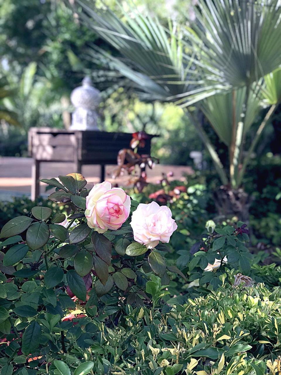 Villa Marrone - Relais - Marsala Ngoại thất bức ảnh