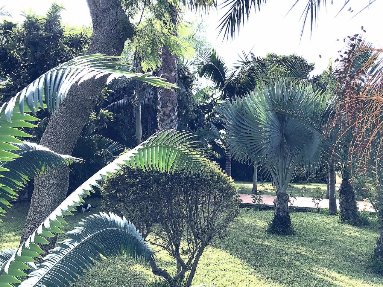 Villa Marrone - Relais - Marsala Ngoại thất bức ảnh